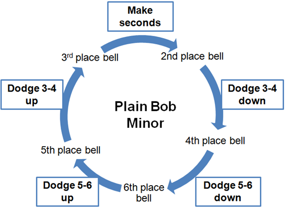 Plain Bob Minor - the cycle of work